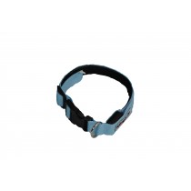 Flashing Dog Collar - Blue (M-XL)