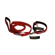 Flashing Dog Collar (XS-XXL) and Lead Set - Red