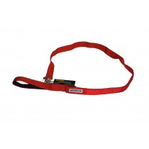 Flashing Dog Lead - Red